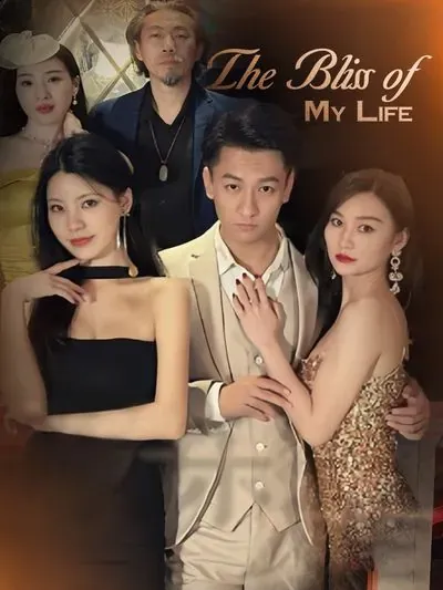 The Bliss of My Life poster