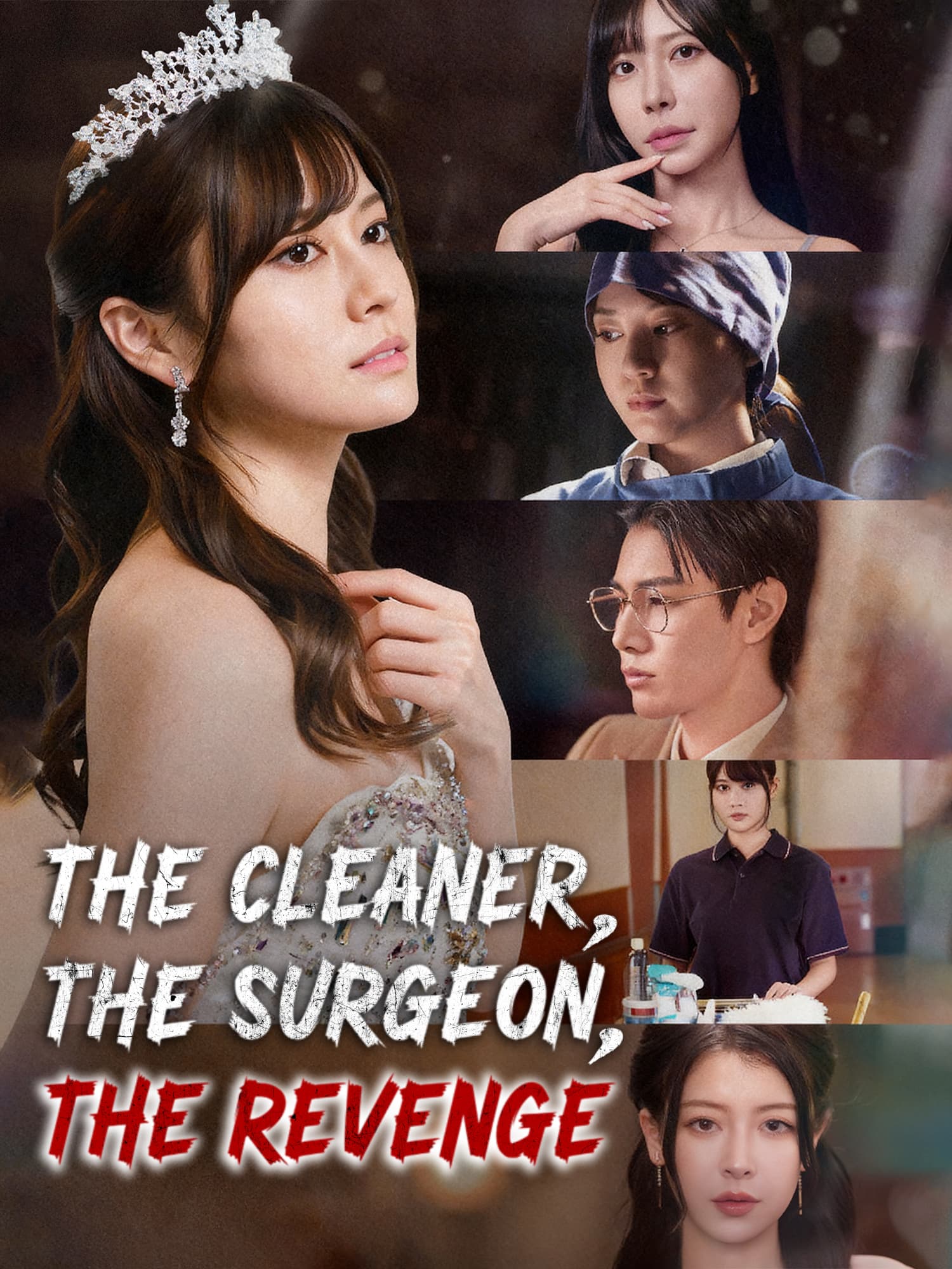 The Cleaner, The Surgeon, The Revenge poster