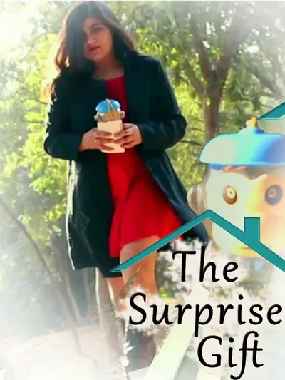 The Surprise Gift poster