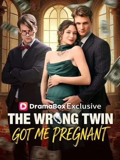 The Wrong Twin Got Me Pregnant The Wrong Twin Got Me Pregnant