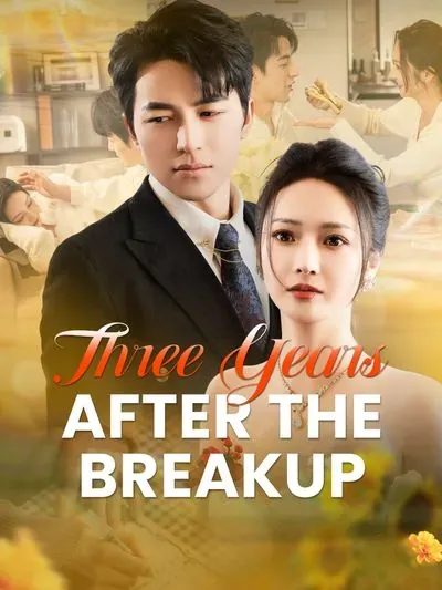 Three Years After the Breakup poster