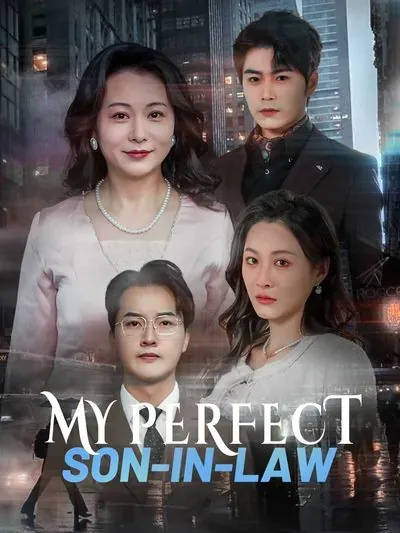 My Perfect Son-in-Law poster