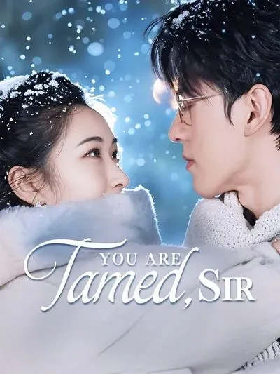 You Are Tamed, Sir poster